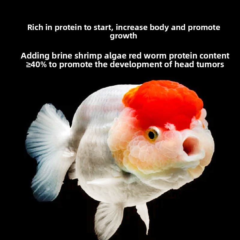 Fish Baby Comida de pez dorado - Baby Food With Protein reseña y precio