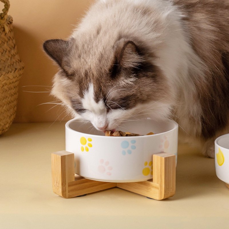 Cuenco de cerámica para perros - Baby Food Cat reseña y precio