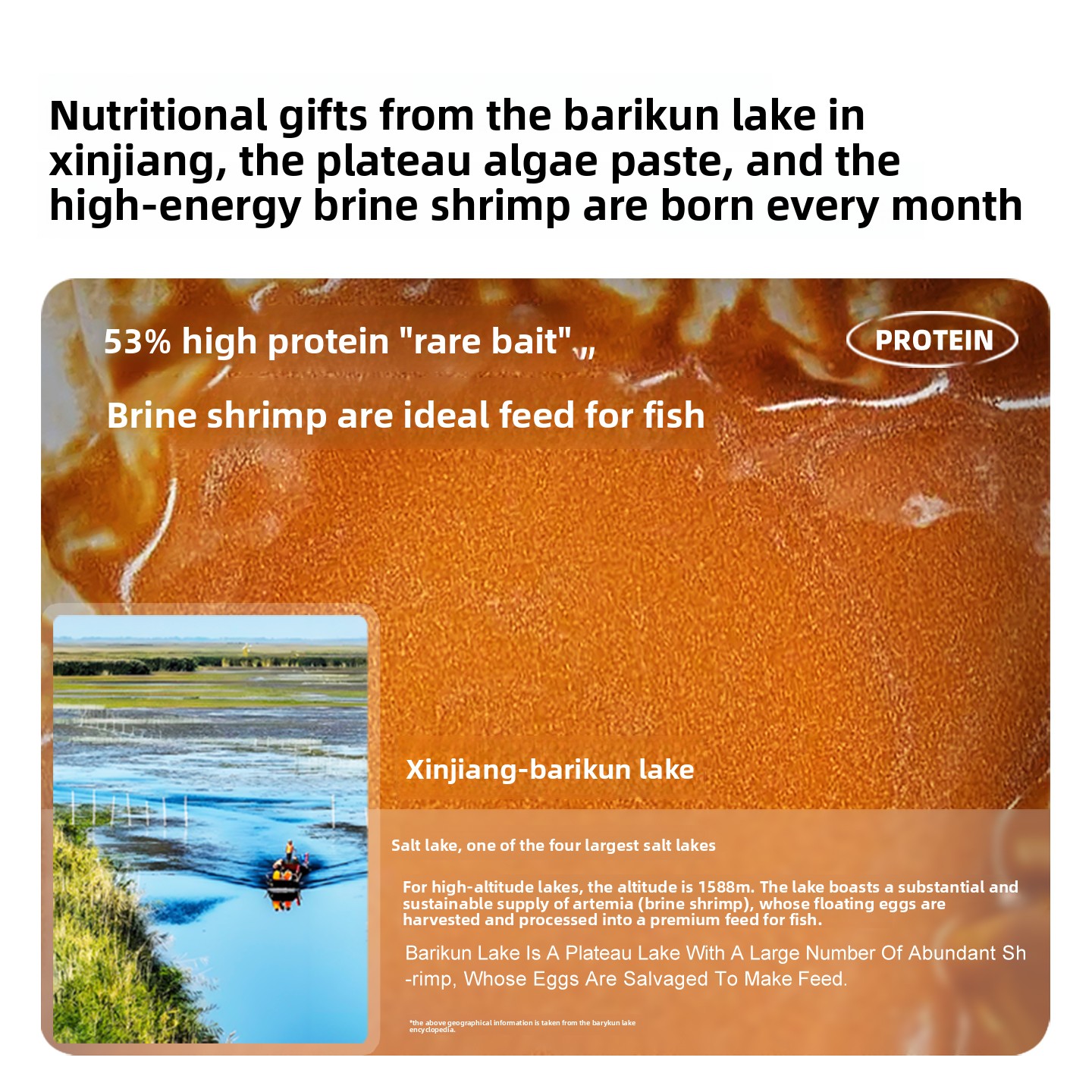 SANKii Artisemia de camarones  - Baby Food With Protein reseña y precio