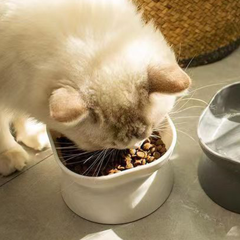 Cuenco de comida para gatos/pe - Baby Food Cat reseña y precio