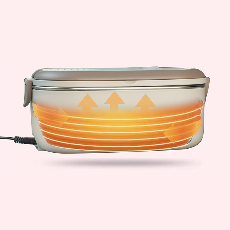 Fiambrera eléctrica de 220V y  - Baby Food Warmer Portable reseña y precio