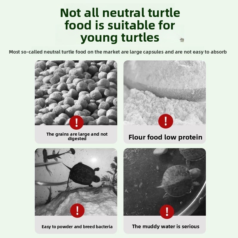 Nai chong Hatchling Turtle Foo - Baby Food With Protein reseña y precio