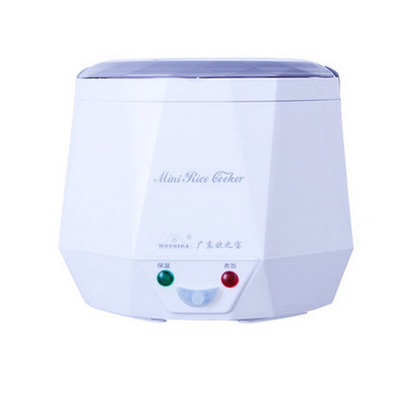 DC12V/DC24V/AC220V 100W POTENC - Baby Food Stew reseña y precio
