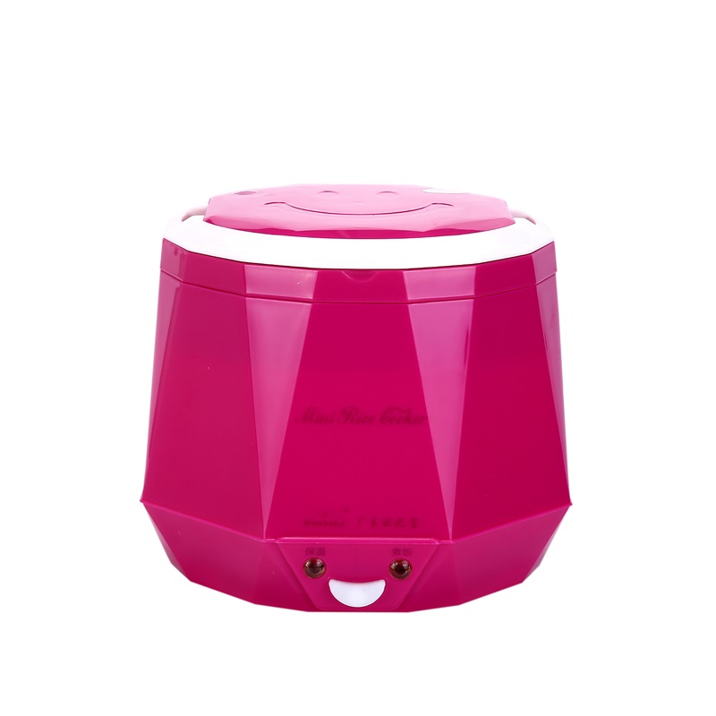 DC12V/DC24V/AC220V 100W POTENC - Baby Food Stew reseña y precio