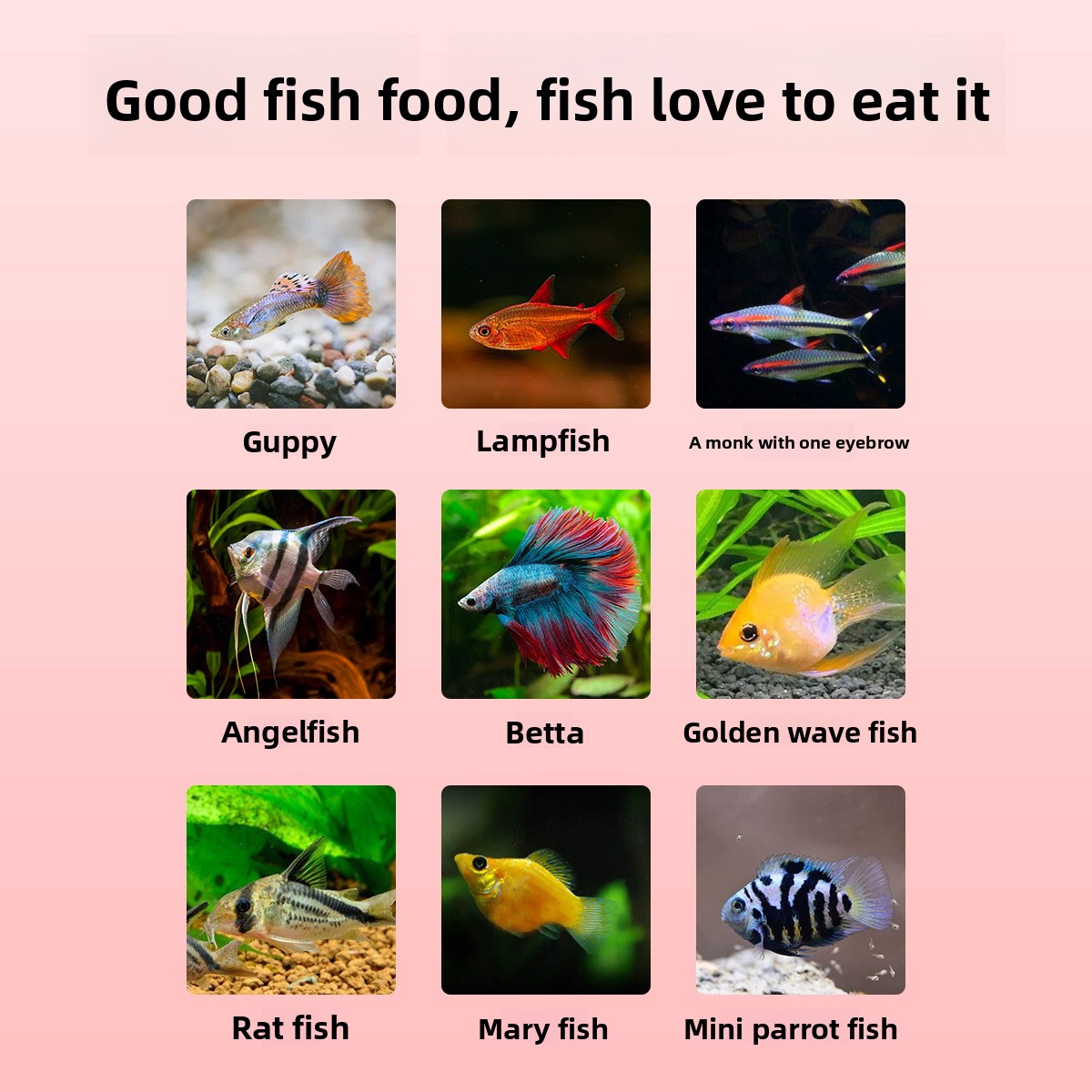 Alimento para Peces Tropicales - Baby Food With Protein reseña y precio