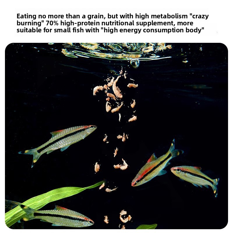 Yee Krill & Baby Shrimp Alimen - Baby Food With Protein reseña y precio